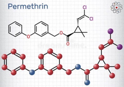 Permetrina crema