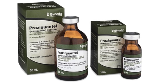 praziquantel
